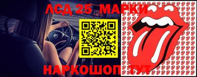 spice Кимры