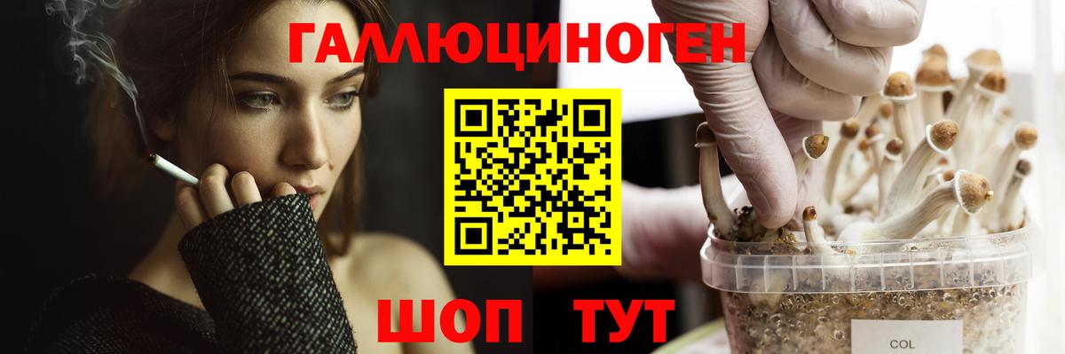 Бирск  Псилоцибиновые грибы прущие грибы  Вход с VPN 